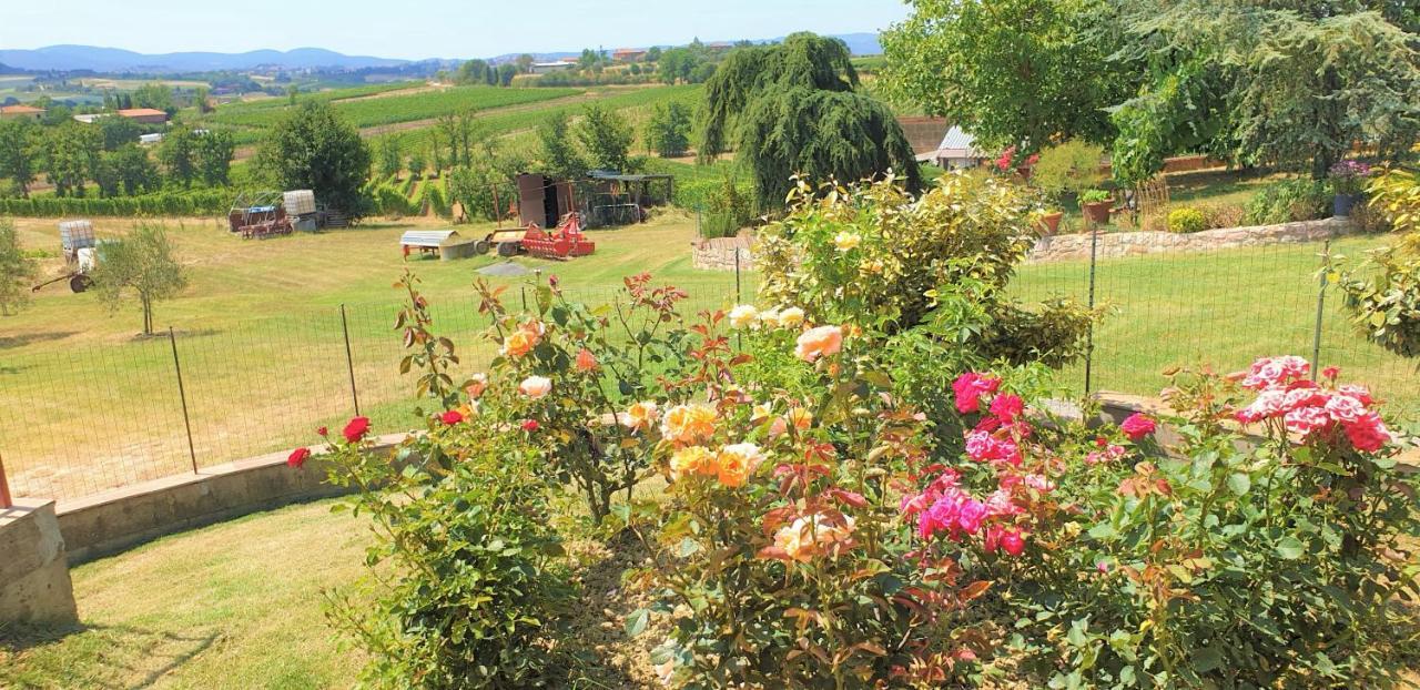 Willa Casina Di Pacina Abbadia di Montepulciano Zewnętrze zdjęcie