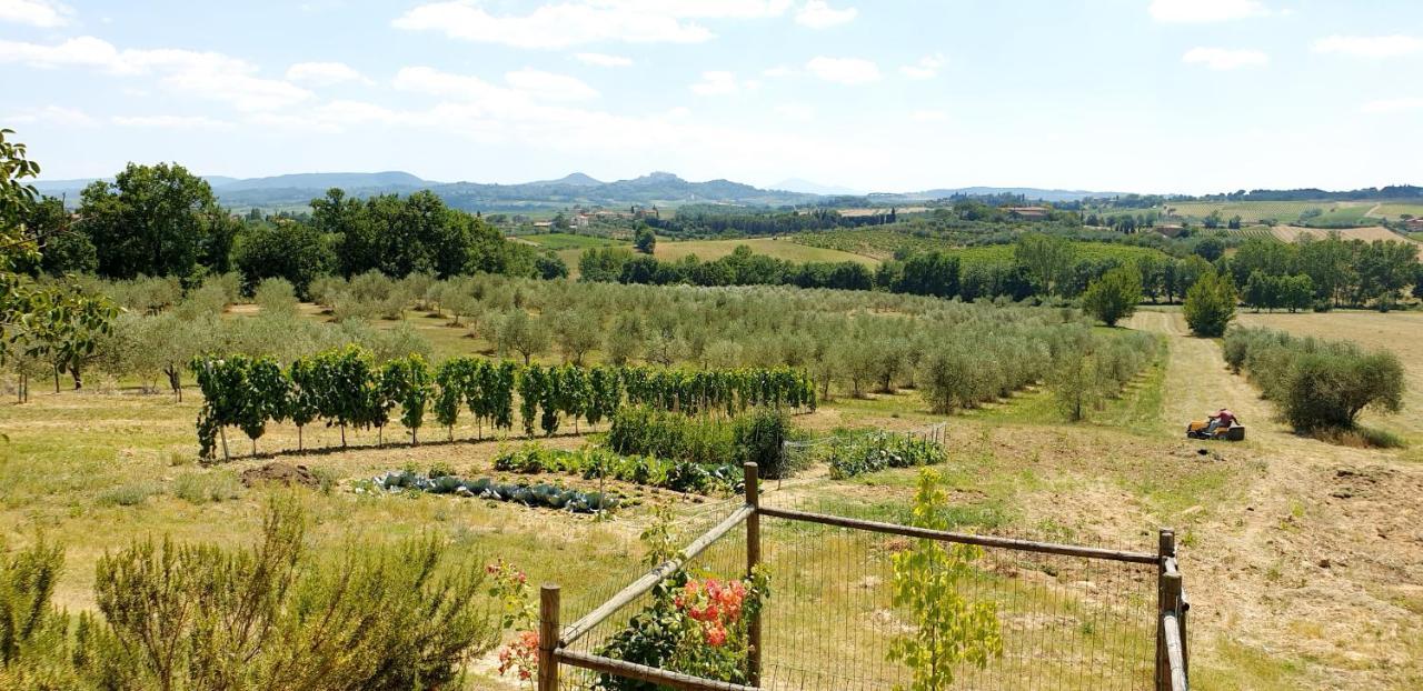 Willa Casina Di Pacina Abbadia di Montepulciano Zewnętrze zdjęcie